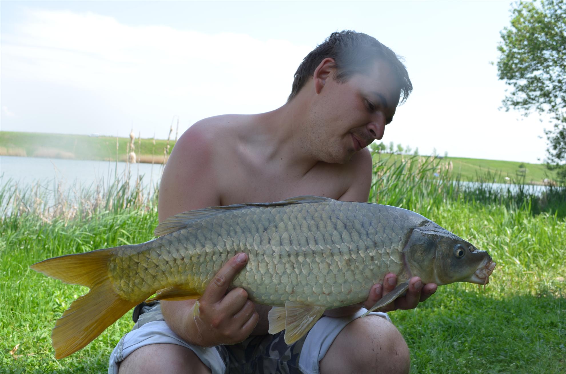 sisterea - dsc0653.JPG